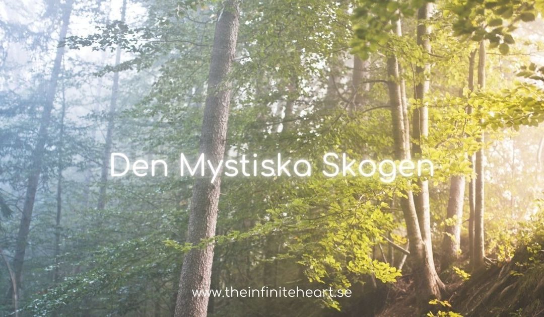 Den Mystiska Skogen