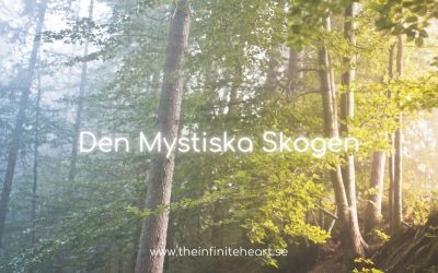 Den Mystiska Skogen