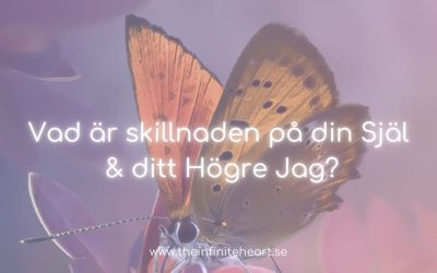 Vad är skillnaden på din Själ & ditt Högre Jag?