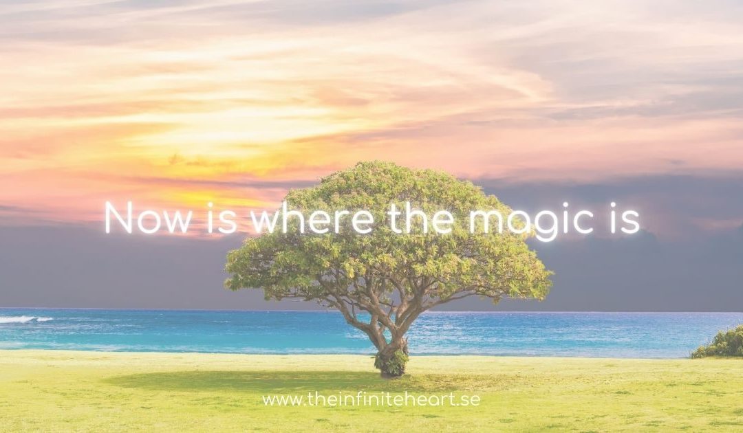 Now is where the magic is