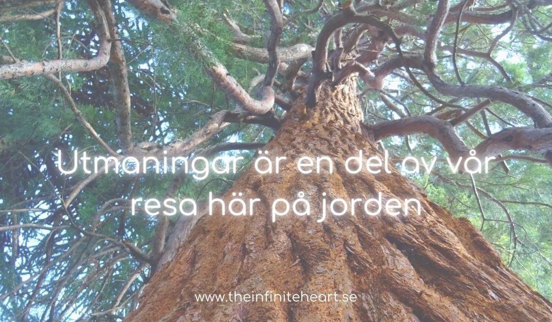 Utmaningar är en del av vår resa här på jorden