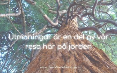 Utmaningar är en del av vår resa här på jorden