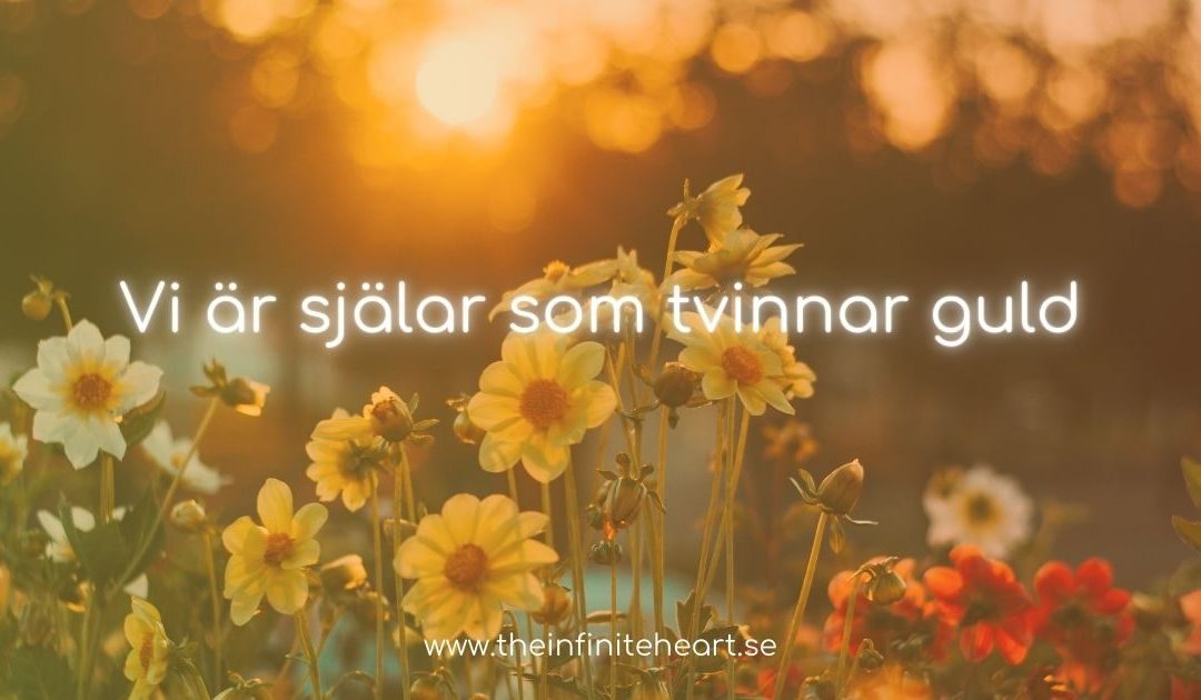 Vi är själar som tvinnar guld