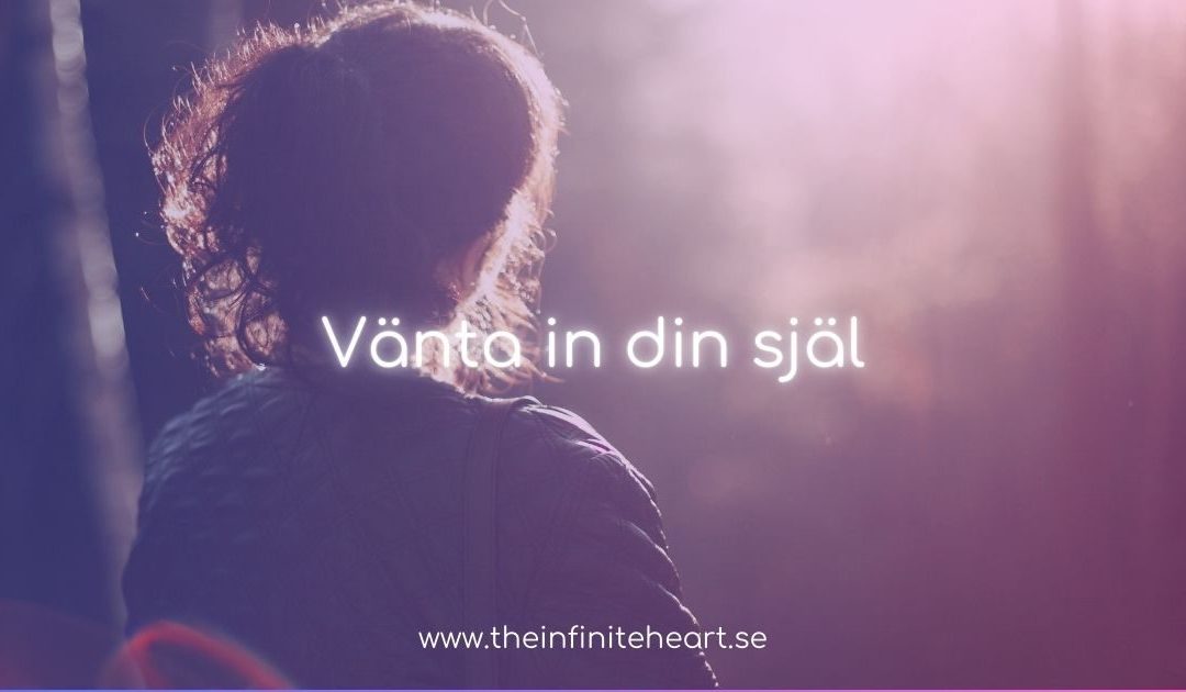 Vänta in din själ