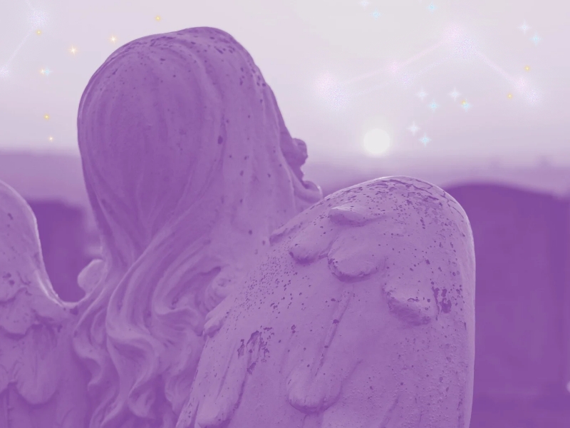 Person holding a pink rose flower between her fingers