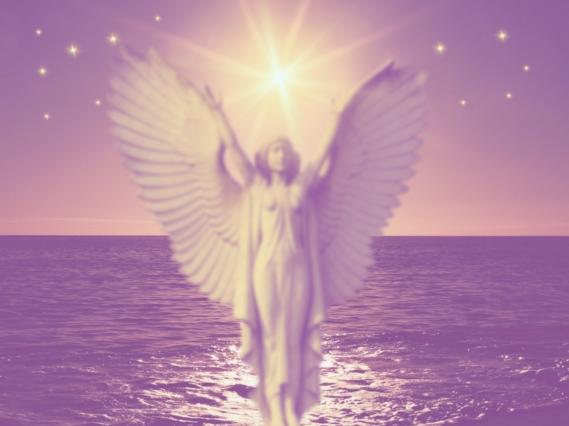 Closeup of a blue succulent plant