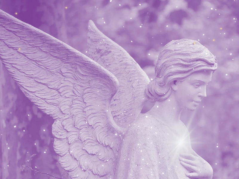 Closeup of dewdrops on a pink rose